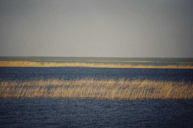 多參數水質分析儀 多參數水質分析儀