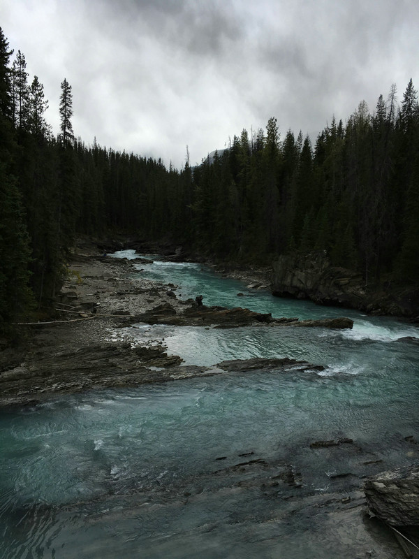 在線總鎳監測儀 在線總鎳監測儀