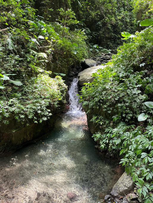 總銅水質(zhì)在線分析儀系統(tǒng) 總銅水質(zhì)在線分析儀系統(tǒng)