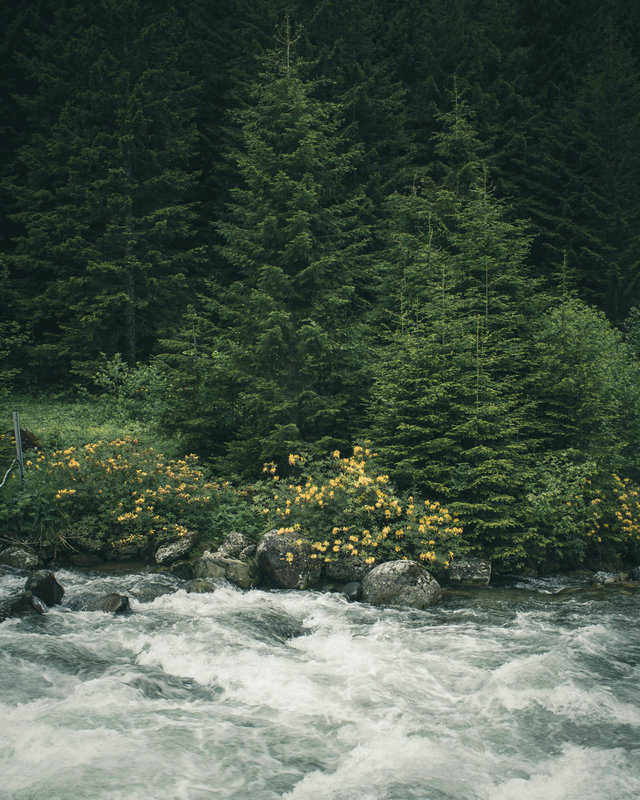 去除水中硫酸鹽 去除水中硫酸鹽