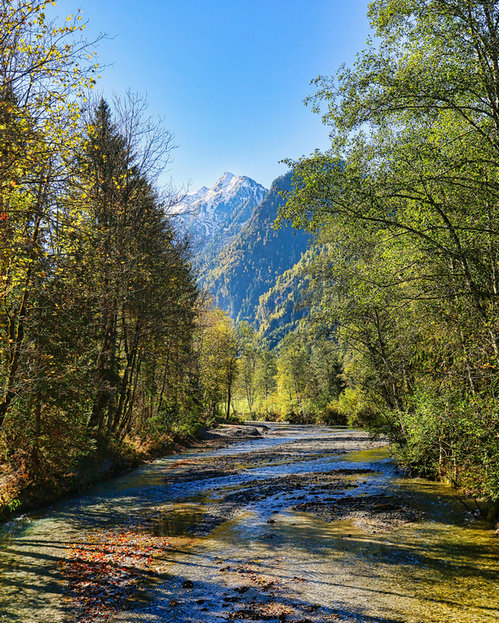 在線總鉛監測儀 在線總鉛監測儀